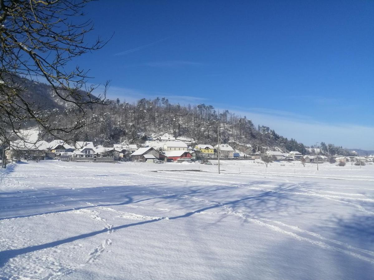 فيلا Hisa Haasberg Planina  المظهر الخارجي الصورة