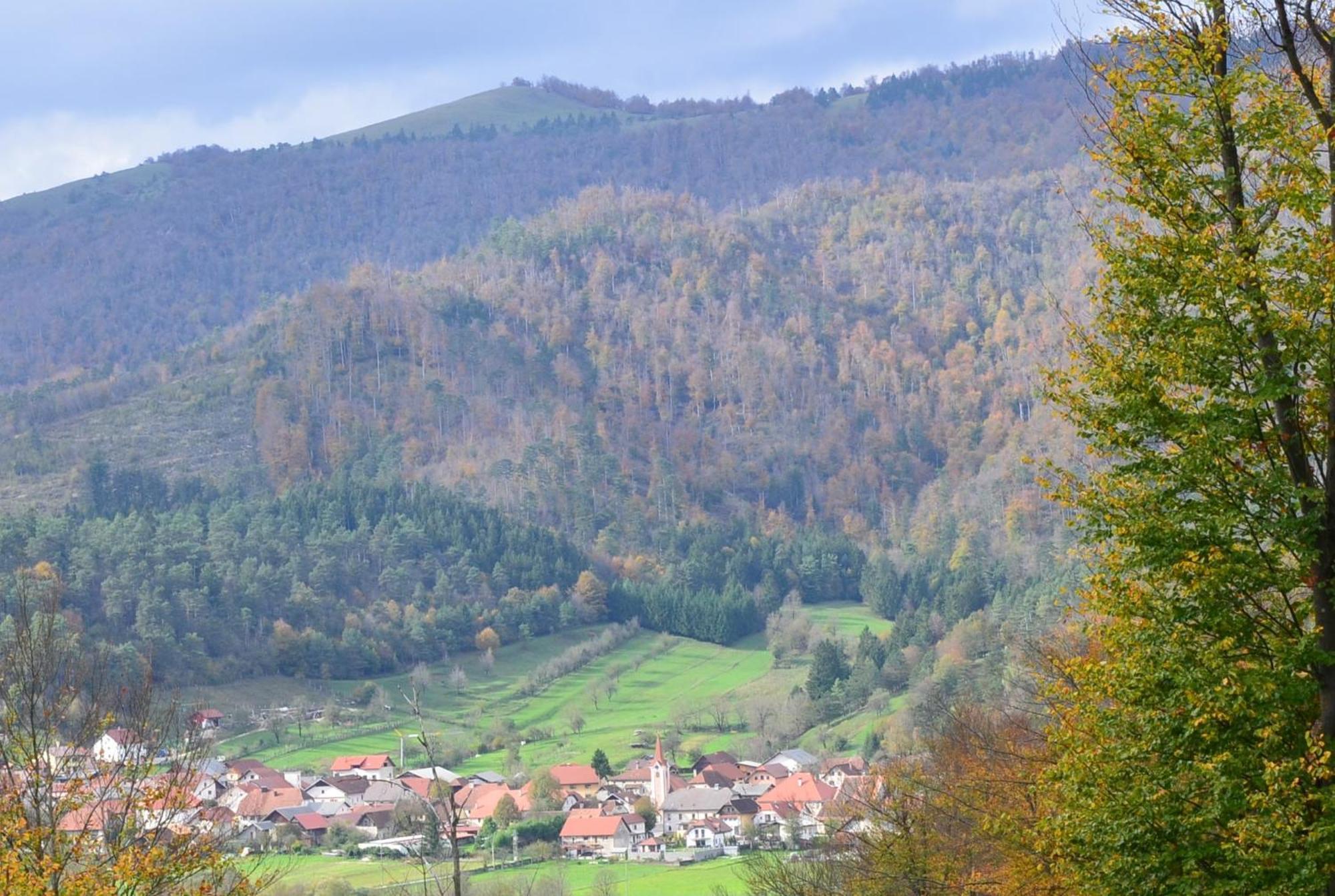 فيلا Hisa Haasberg Planina  المظهر الخارجي الصورة